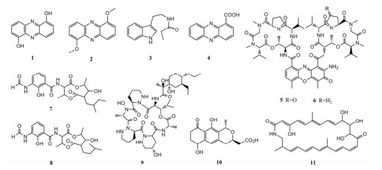 動(dòng)物來(lái)源放線菌的次級(jí)代謝產(chǎn)物及其生物活性研究進(jìn)展 純化策略與挑戰(zhàn)