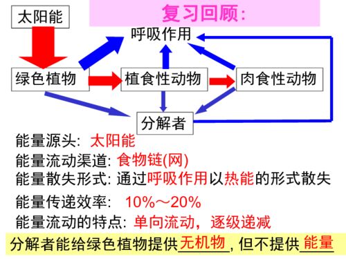 生態(tài)系統(tǒng)的物質(zhì)循環(huán) 合成技術(shù)研發(fā)的視角
