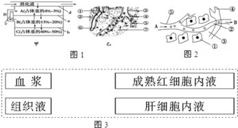 孟德爾遺傳規(guī)律為何不適用于細(xì)菌等單細(xì)胞生物？